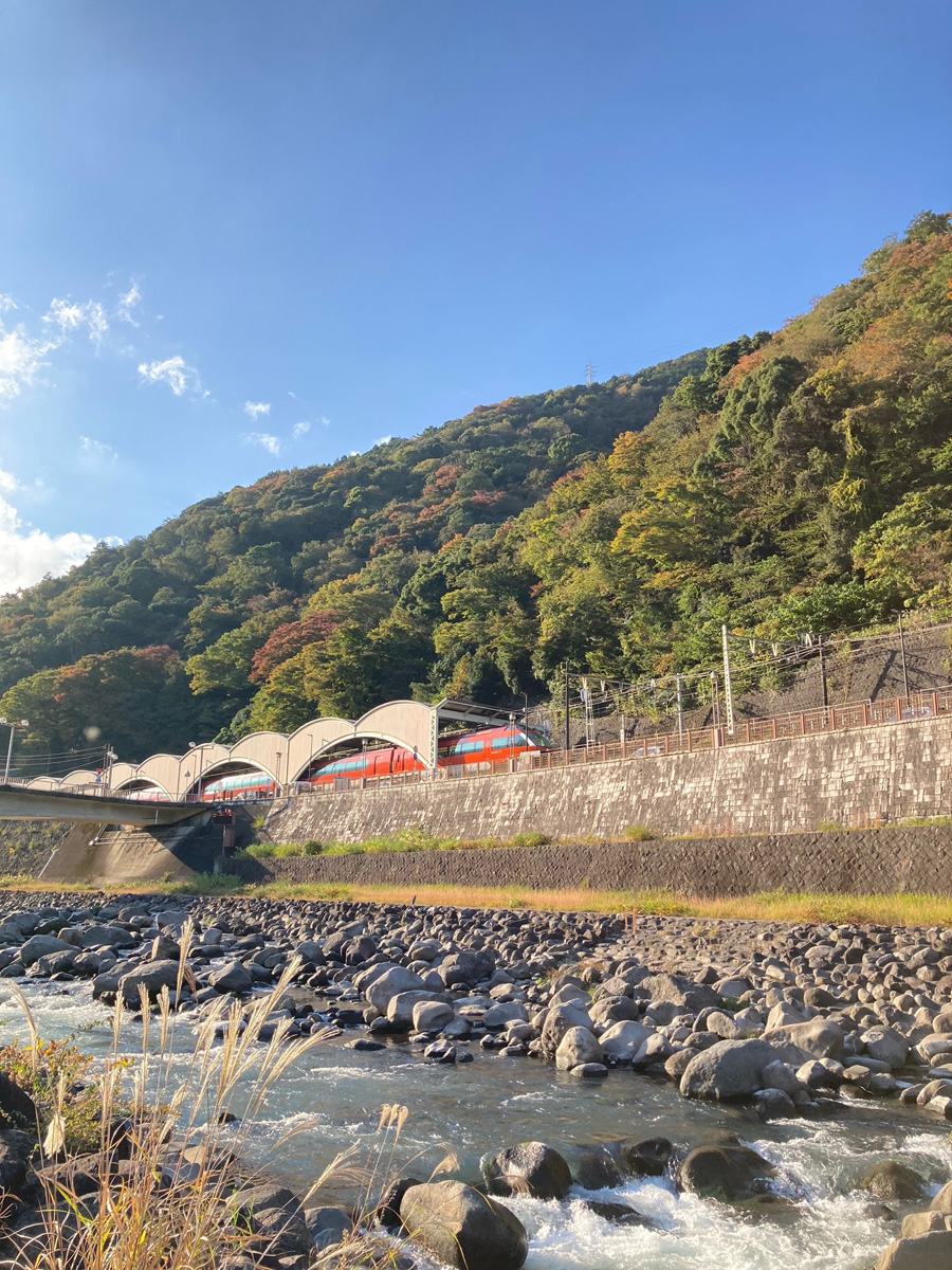 ロマンスカーと早川