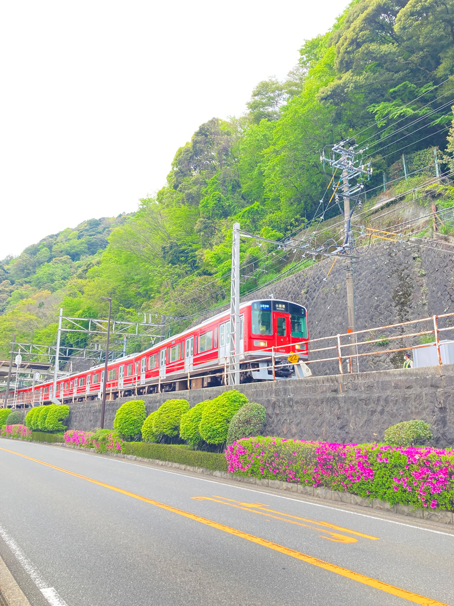 小田原～箱根湯本を走る箱根登山電車